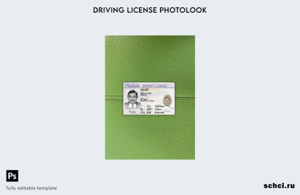 цифровая загрузка США, Вирджиния, шаблон фотоизображения за рулем спереди